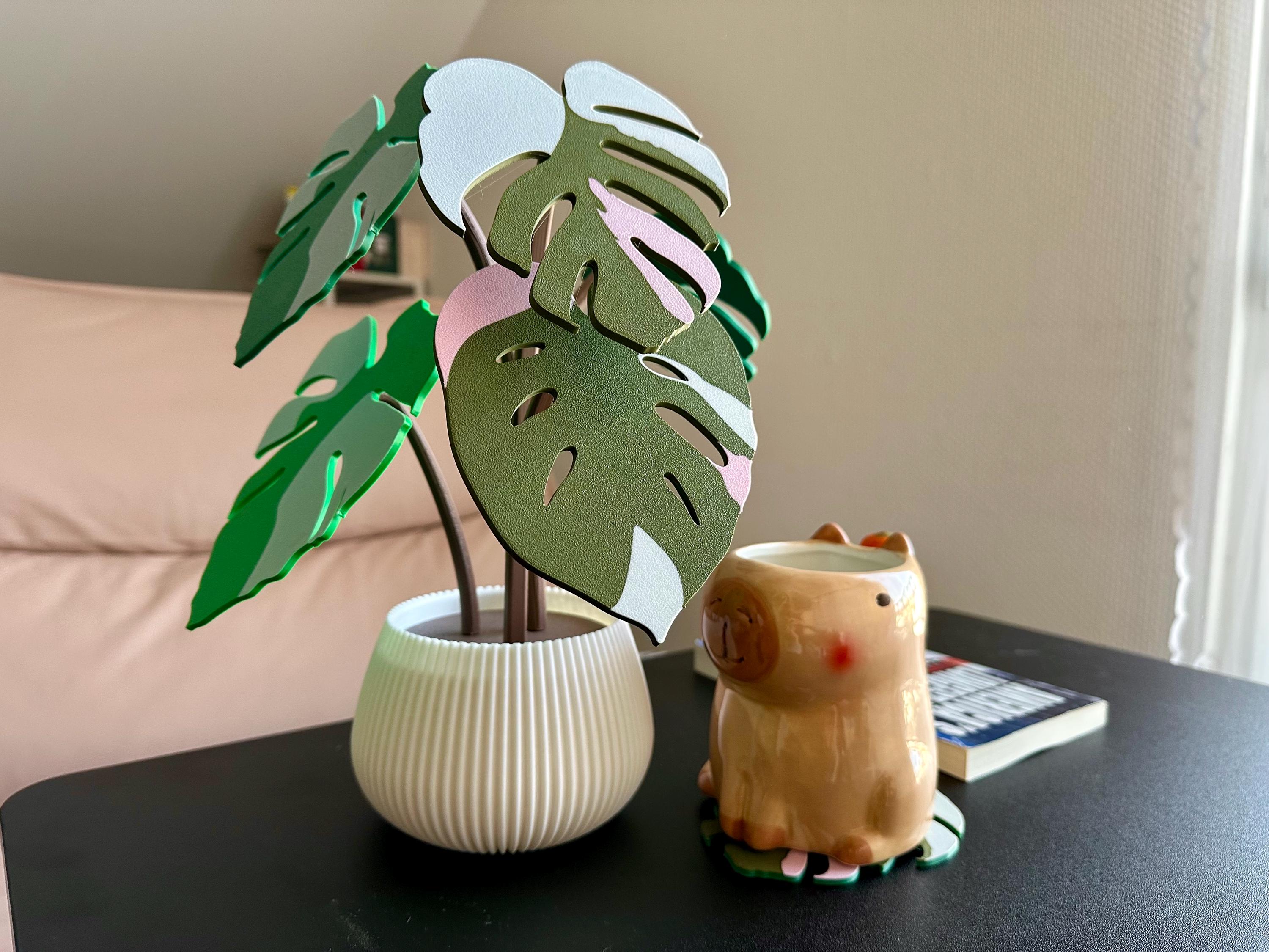 Monstera 3D Printed Coasters - Plant Coasters | Leaf Decoration