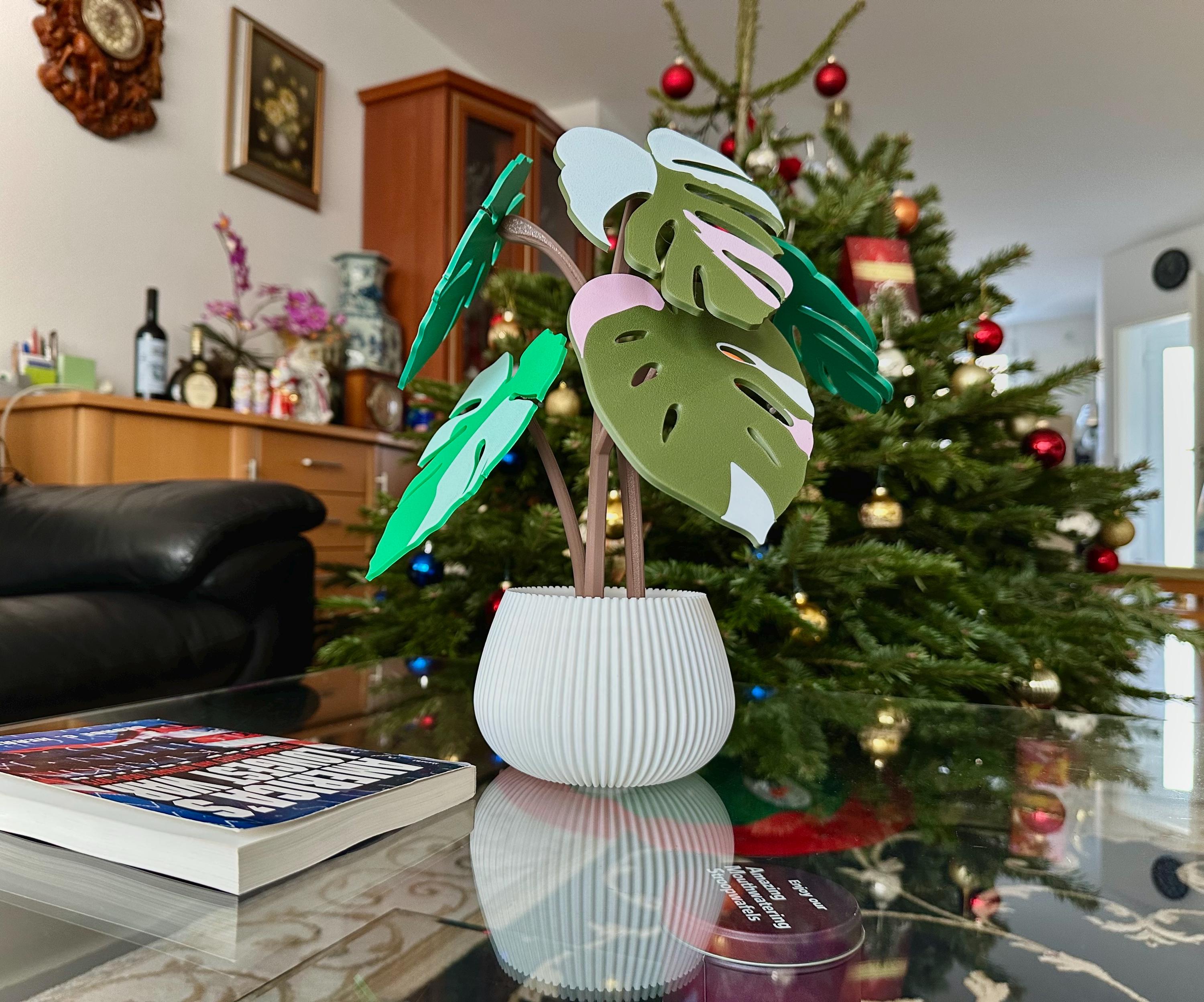 Monstera 3D Printed Coasters - Plant Coasters | Leaf Decoration